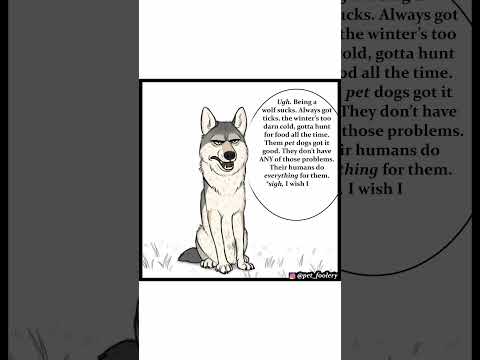 Pet Foolery: Fairy Dogmother (Comic Dub)