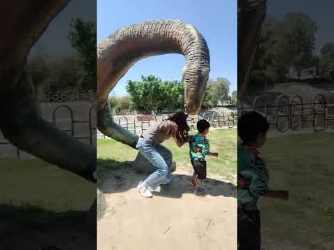 Mother Son Funny Video | Dinosaur Park | Ayesha Kazi | Ahmat #dinosaur dinosaur video #ayeshakazi