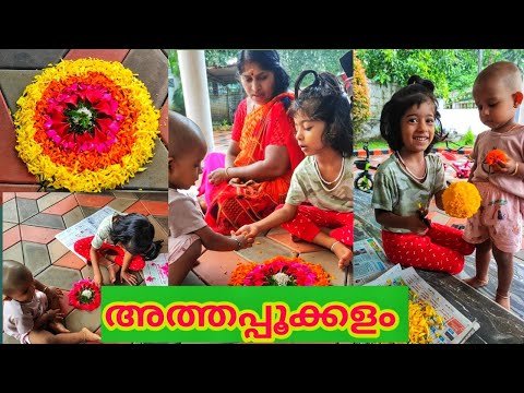 തനുന്റെ ഇന്നത്തെ അത്തപ്പൂക്കളം /Thanu/Thanusree/Atham/Onam /Onam vlog/pookkalam