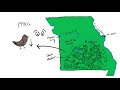 Exploring the Basics of Ecology