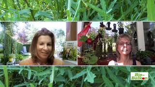 Bio-Garten-Kongress 2019 - Interview Uta Grünwald