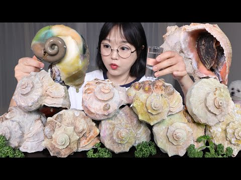 쫄깃한 소라찜 가득 쌓아 놓고 소주 한 잔! 해물 먹방 Steamed Sea Snails Mukbang ASMR