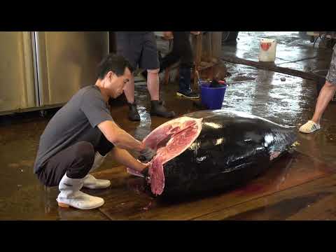 Master of the knife: exquisite skills deconstruct the perfect moment of bluefin tuna