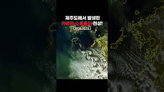 2월 12일 오늘 오전, 제주도 하늘에서 카르만 소용돌이 현상이 발생했습니다!