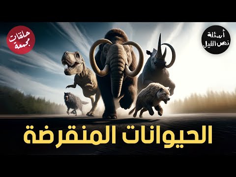 أسئلة عن الحيوانات المنقرضة | حلقات مجمعة