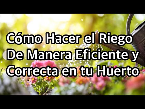 La Importancia del Riego Correcto