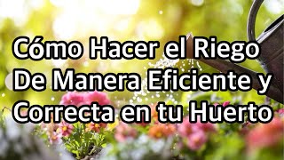 La Importancia del Riego Correcto
