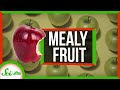 Understanding Fruit Texture and Storage