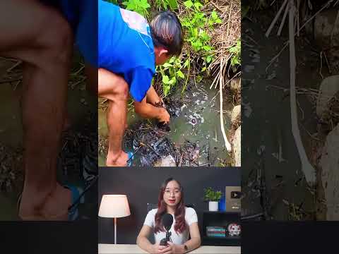 Câu cá ngoài trời #shorts #khampha #review #viralvideo #viral #trending #discovery #bian #thuvi