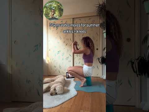 Doggy Planning Hide & Seek [Flexible Yoga Stretching Exercises] #shorts