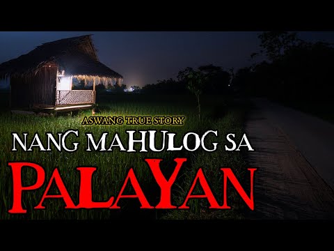 NANG MAHULOG SA PALAYAN - ASWANG TRUE STORY