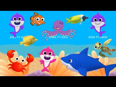 Baby Shark Dance Song | Baby Shark doo doo doo | Baby Shark Nursery rhymes Dolphin octopus Ocean