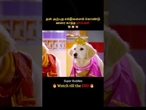 Miraculous powers of dogs saved the town | தன் அற்புத சக்திகளைக் கொண்டு ஊரை காத்த நாய்கள் | Infogle