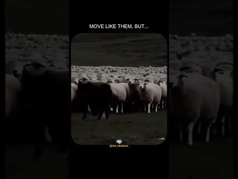 Think like a pro #wolf #clever #thinking