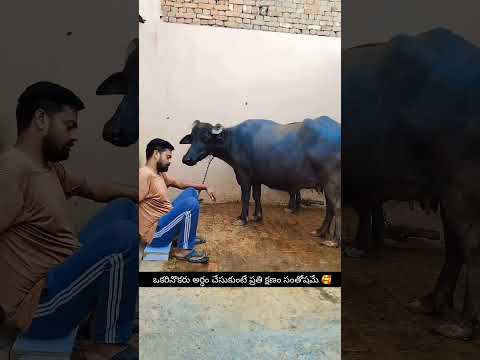 ఒకరినొకరు అర్ధం చేసుకుంటే ప్రతి క్షణం సంతోషమే 😂🥰
