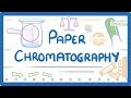 Exploring Paper Chromatography Techniques