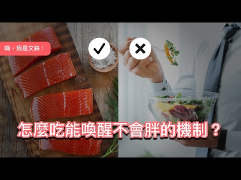 在看完飲食科普書之後，我做了兩個改變｜《美味陷阱》｜嗨，我是文森！