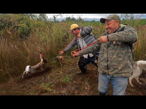 Cazando con Galgos y Resortera en Parral | Conejeando 2025 Capítulo N°10
