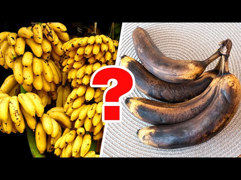 ليه الموز لو قعد كتير عند الفكهاني مش بيسود وأول ما يجي البيت بيسود ويعفن؟