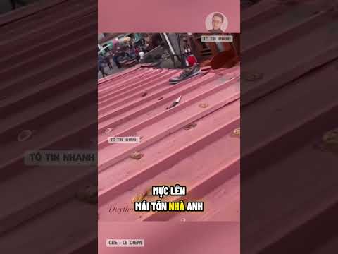 Phát hiện dựng người về Hàng Xóm khi dọn nhà đón Tết 😆#SHORTS #tintuc #funny