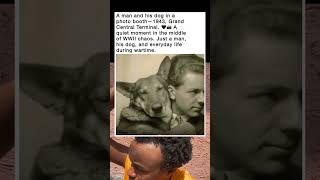 🕰🐶 “1943 magic! A man and his loyal dog share peace amid WWII chaos—love wins even in war! ❤️📸💞”
