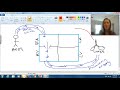 Heart Anatomy and Blood Flow Concepts
