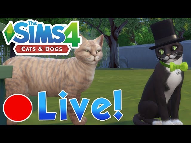 Sims 4: Cats & Dogs • The Secret Kitten Hideaway & Pigeon Paradise • Finished Livestream