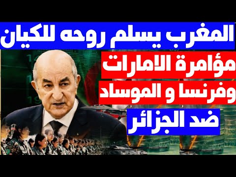 قلنا لكم ليس لكم إلا الجزائر! وظهرت مؤامرة الرباعي ضد الجزائر بدعم مخابرات فرنسا وأموال الامارات