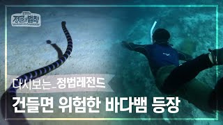 [정법레전드🏆] 화려해 보이는 만큼 더 위험하다! [정글의법칙 | SBS 141114방송]