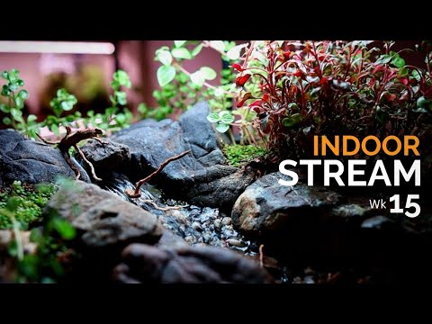 Why I’m Dismantling The Flowing Stream Landscape 💔 (15 Weeks Later)