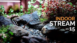 Why I’m Dismantling The Flowing Stream Landscape 💔 (15 Weeks Later)