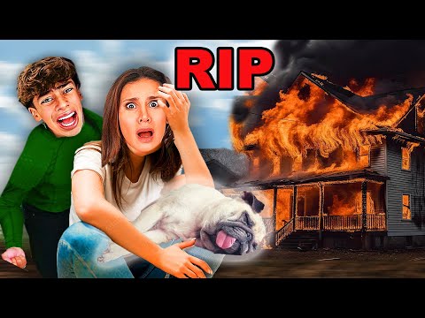 The Royalty Family House is GONE by FIRE! 😱 FERRAN DOG DIED #wildfire