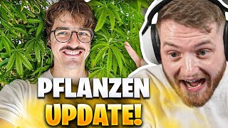 😂😍Seine PFLANZEN LEBEN WIEDER! - Rumathra mit IRL SCHEDULE 1  | Trymacs Stream Highlights