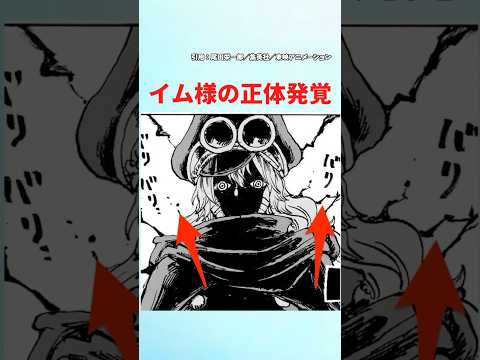 【最新1149話】イム様の正体は...【ワンピース】#ワンピース1021 #ワンピース #ワンピースの反応集まとめ