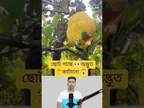 Strange Pruning on Small Trees