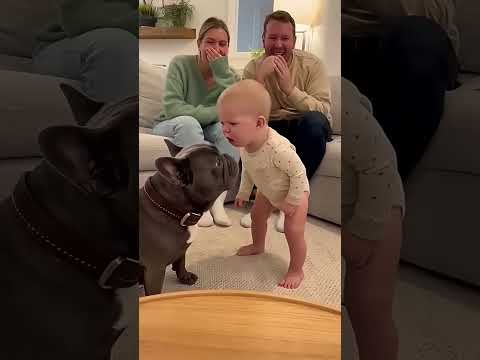 ์๊ธฐ๊ฐ ๊ฐ์๊ฒ ๊ฐํ๊ฒ ์ฅ๋์ ์น๊ธฐ ์์ํ์ง๋ง, ๊ฐ๋ ๊ทธ์ ์กฐ์ฉํ ๋ฃ๊ธฐ๋ง ํ๋ค. ๐๐ถ๐ถ