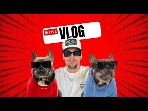 Live Vlog Day 30 - Jerseys Mikes with the dogs