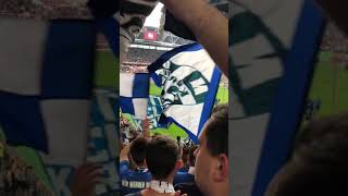 Düsseldorf vs Schalke