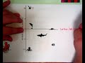 Temperature and Elevation Concepts