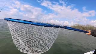 May 2026 Walleye Fishing Detroit River and Lake Erie