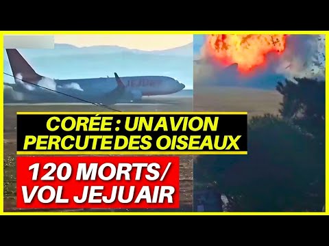 Atterrissage Inexpliqué - Le mystère du Vol Jeju Air Bangkok – Muan | Insolites : Événement Étonnant