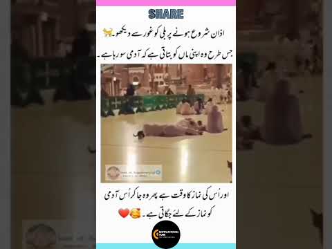 سبحان اللہ ?#shorts #vira#religiousquotes #whatsappstatus #cat