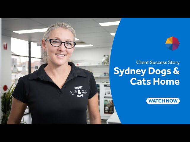 Employsure Voices | Sydney Dogs & Cats Home thumbnail image