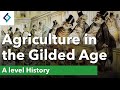 Gilded Age Economic and Social Issues