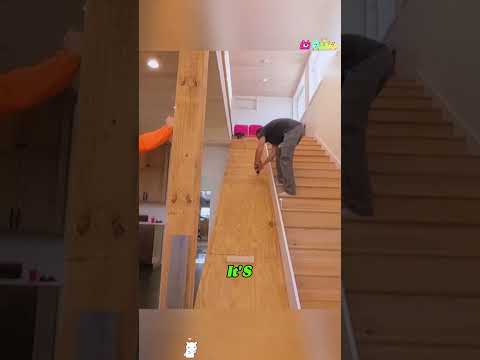 Why Don’t More Homes Have Stair Slides? This One Is Easy to Build#DIYProject