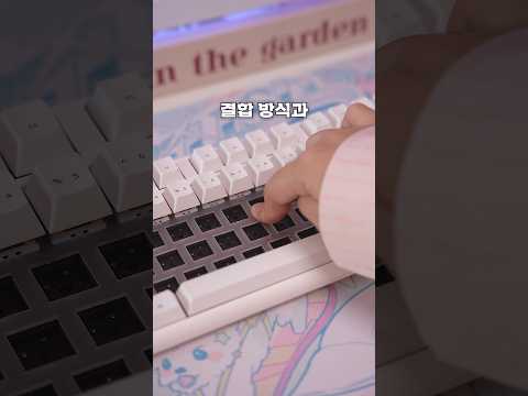 조약돌 소리가 나는 키보드의 조건과 특징은?(씽크웨이 토체프301) #조약돌키보드 #keyboard