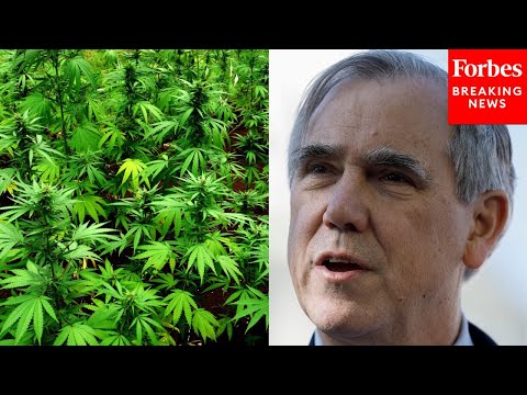 YouTube video thumbnail: Jeff Merkley: Veterans Should Be Able To Discuss Using Legal Cannabis Treatments With Doctors