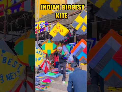 Indian Biggest kite Patang || Viral Delhi mini vlog part - 1 #shorts #sanjayzoeff