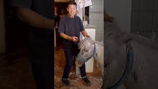 Chapu fue a conocer la “mascota” de Demian en #DePaseo