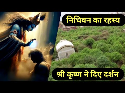 निधिवन का रहस्य |😨😱| रंग महल का रहस्य | Nidhivan #nidhivan #vrindavan #facthex